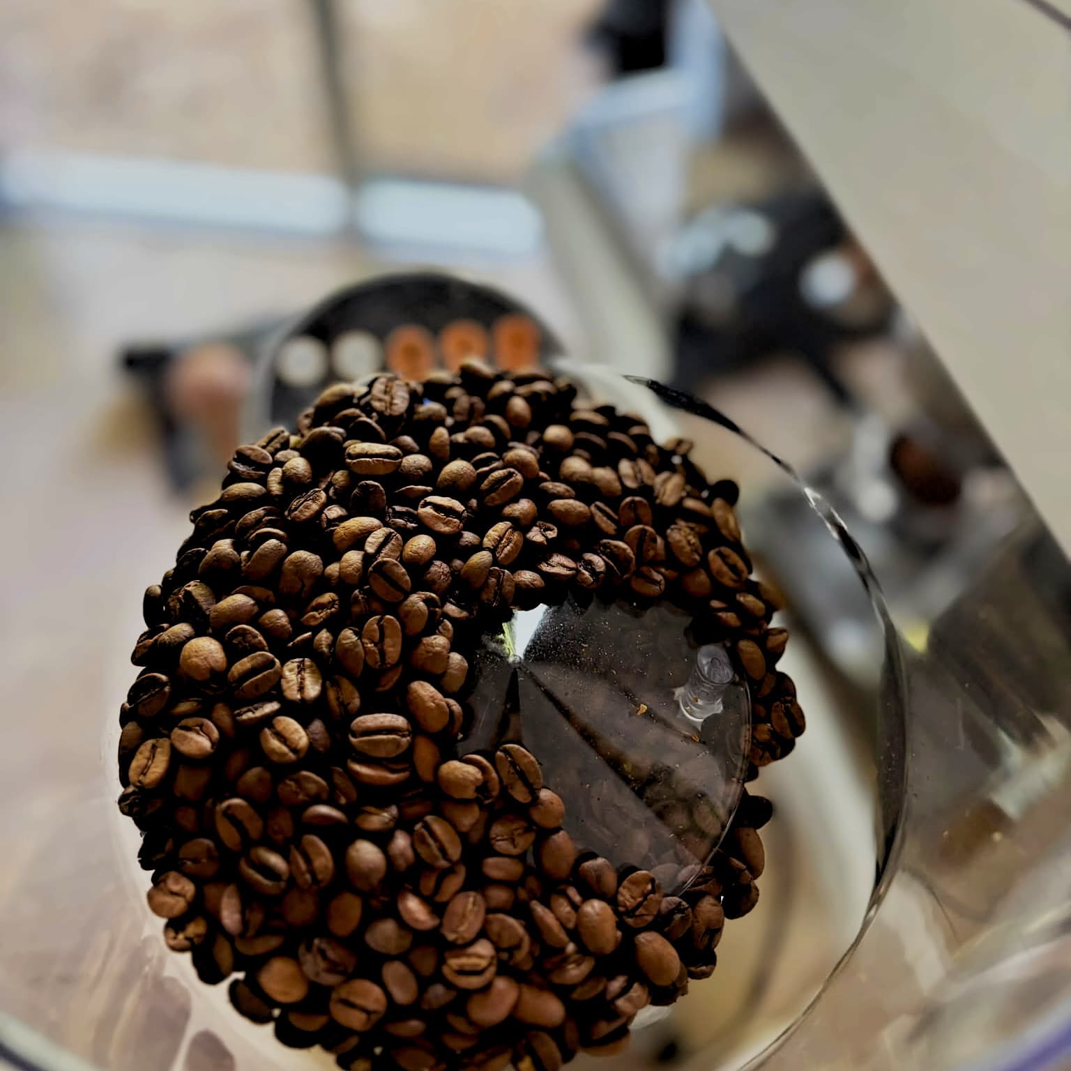 Freshly roasted coffee beans in the grinder hopper
